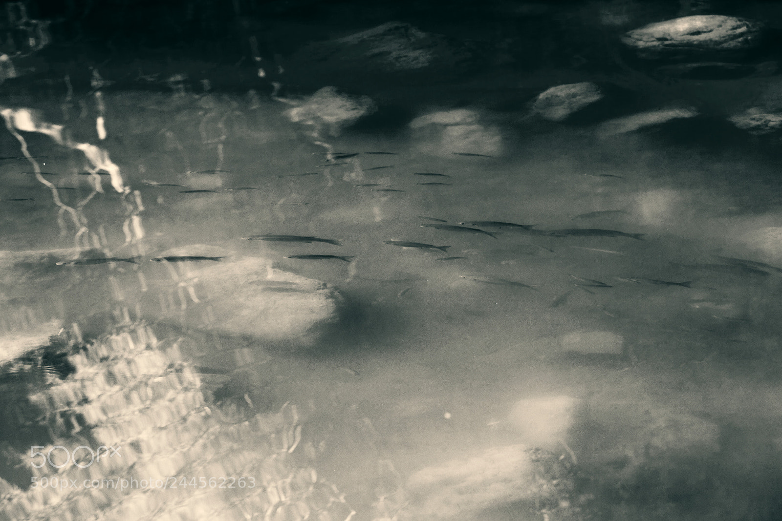 Canon EOS 5D sample photo. La calma photography