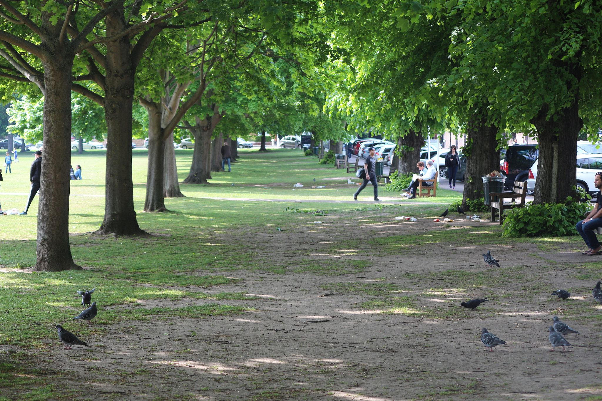 Canon EOS 650D (EOS Rebel T4i / EOS Kiss X6i) sample photo. Img photography