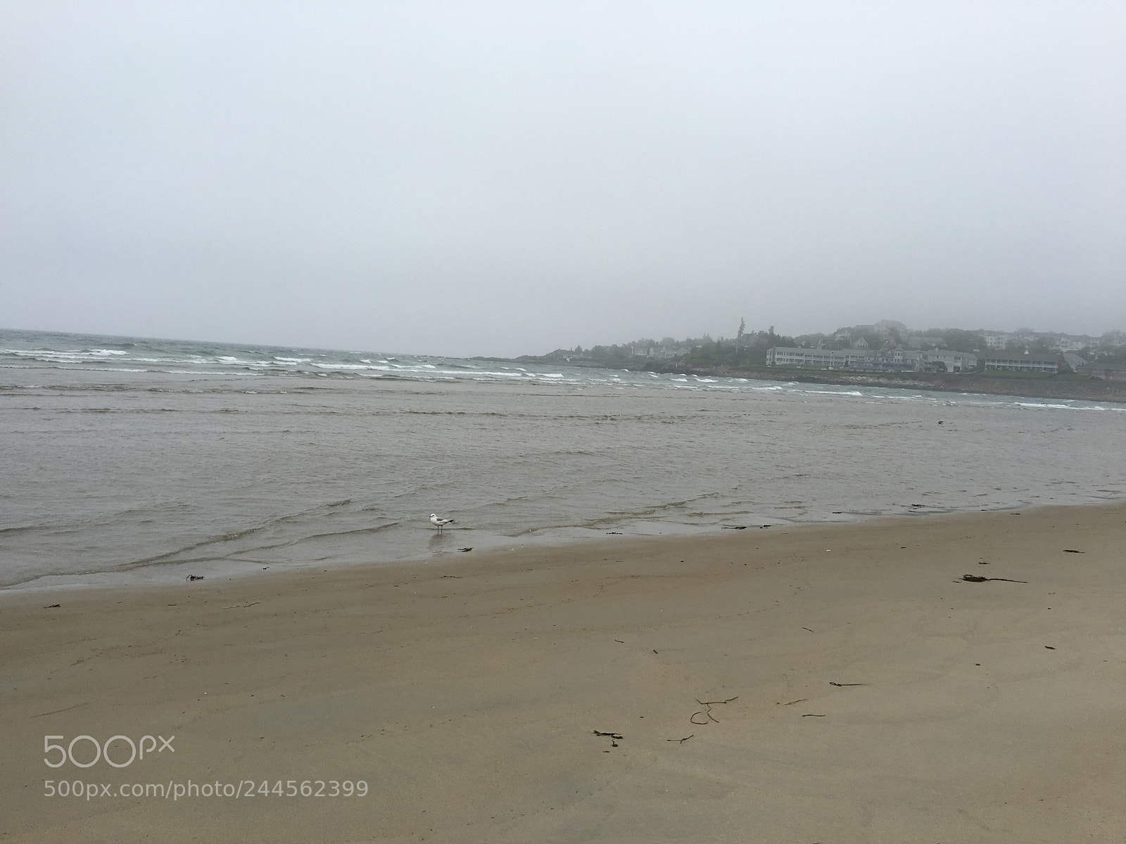 Apple iPhone 6s sample photo. Beach photography
