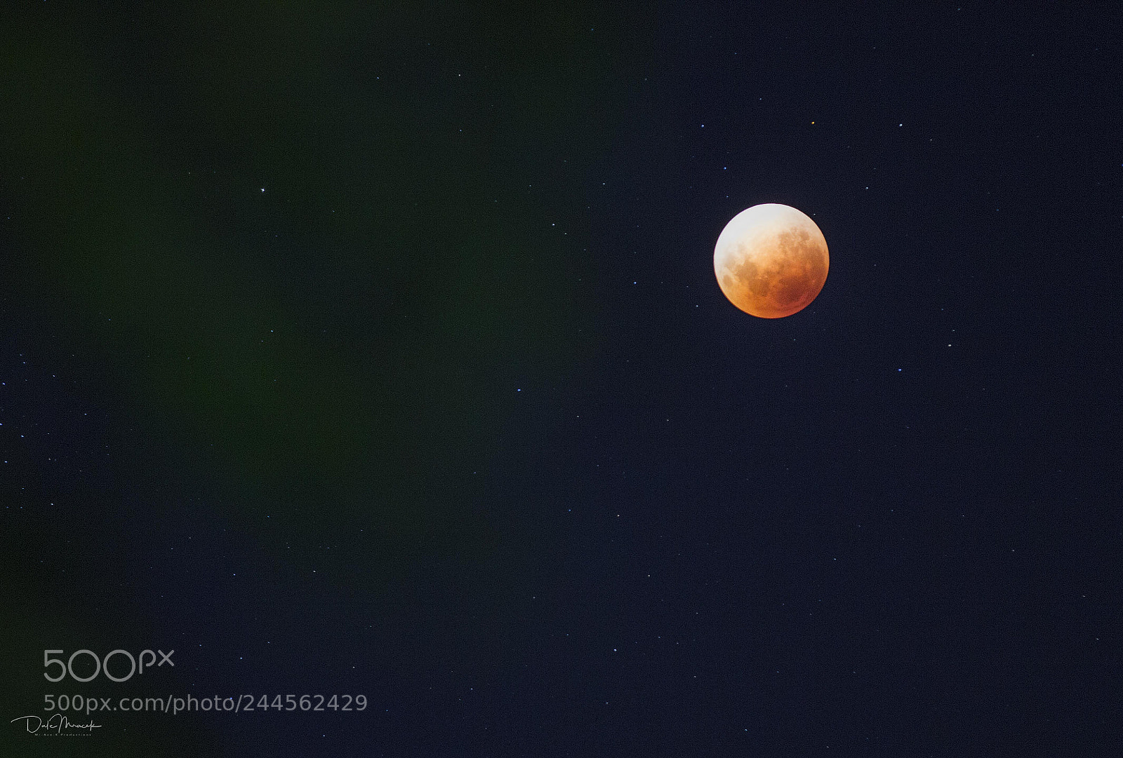 Canon EOS 60D sample photo. Blood blue moon full photography