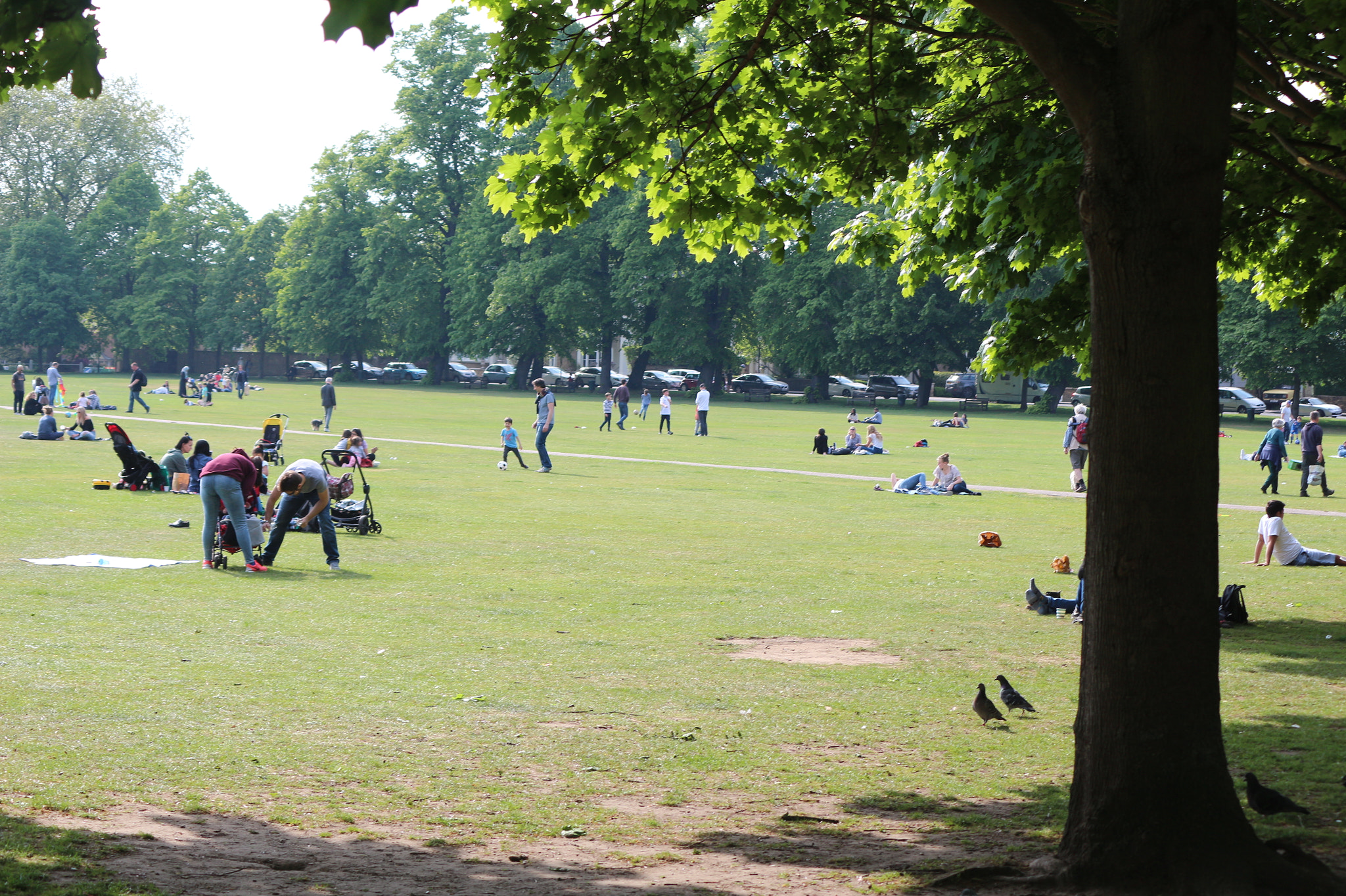 Canon EOS 650D (EOS Rebel T4i / EOS Kiss X6i) sample photo. Img photography
