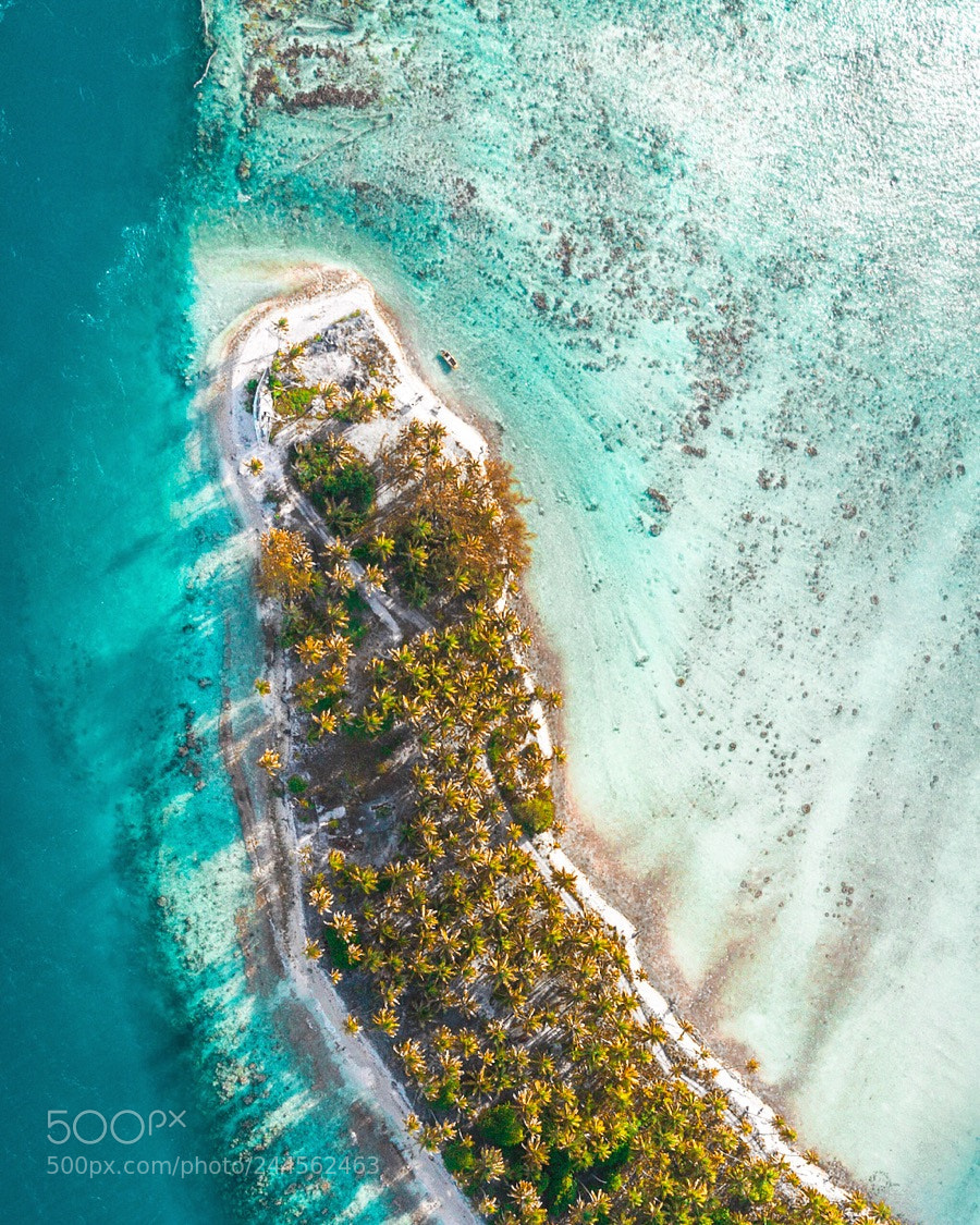DJI FC220 sample photo. Tahiti photography