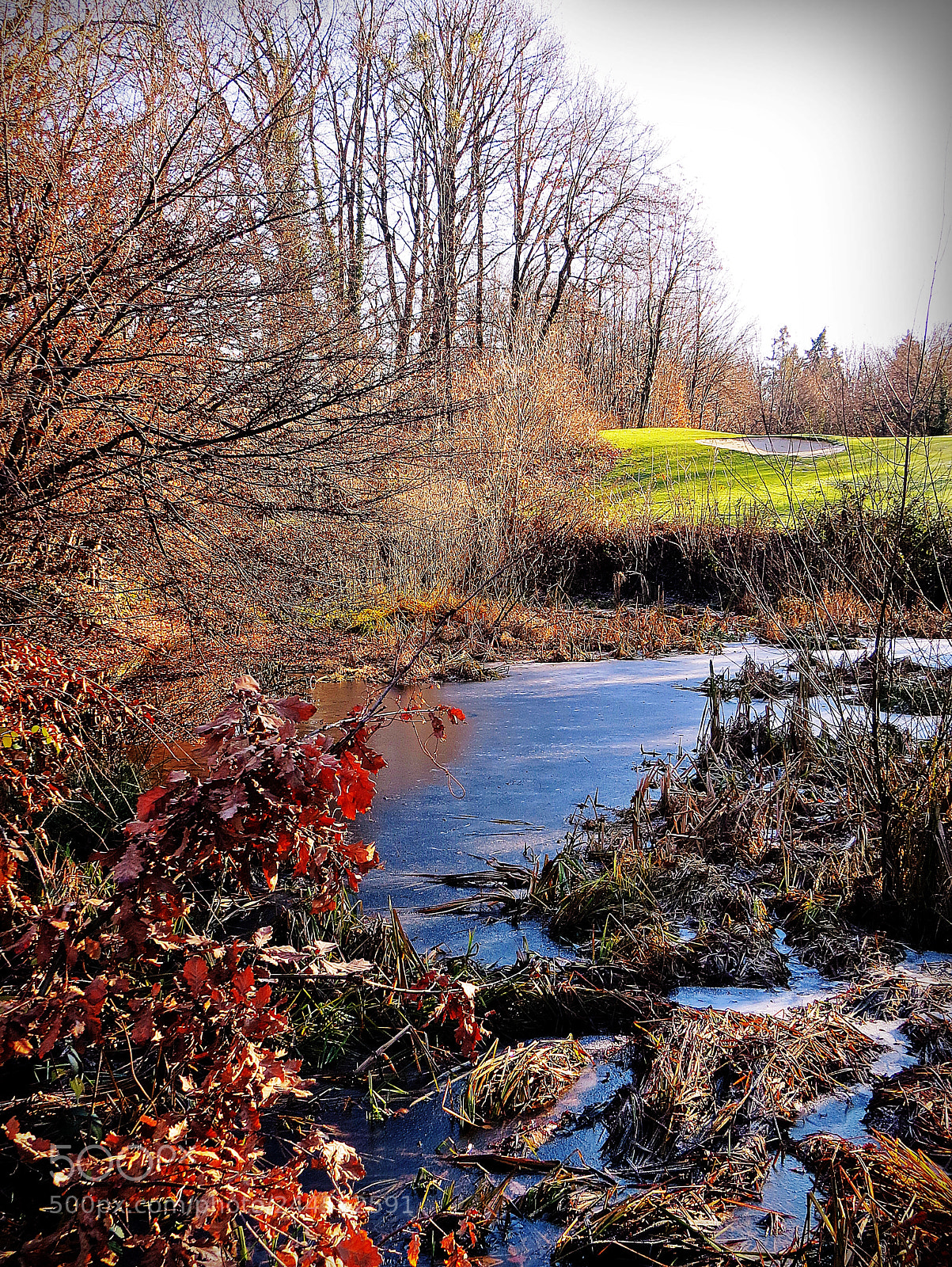 Canon PowerShot SX50 HS sample photo. Winter time photography