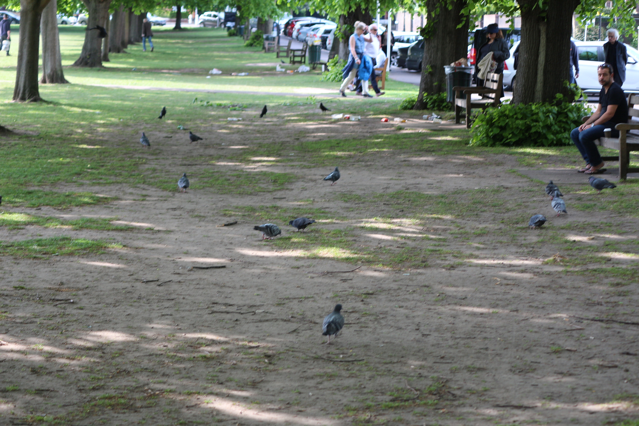 Canon EOS 650D (EOS Rebel T4i / EOS Kiss X6i) sample photo. Img photography