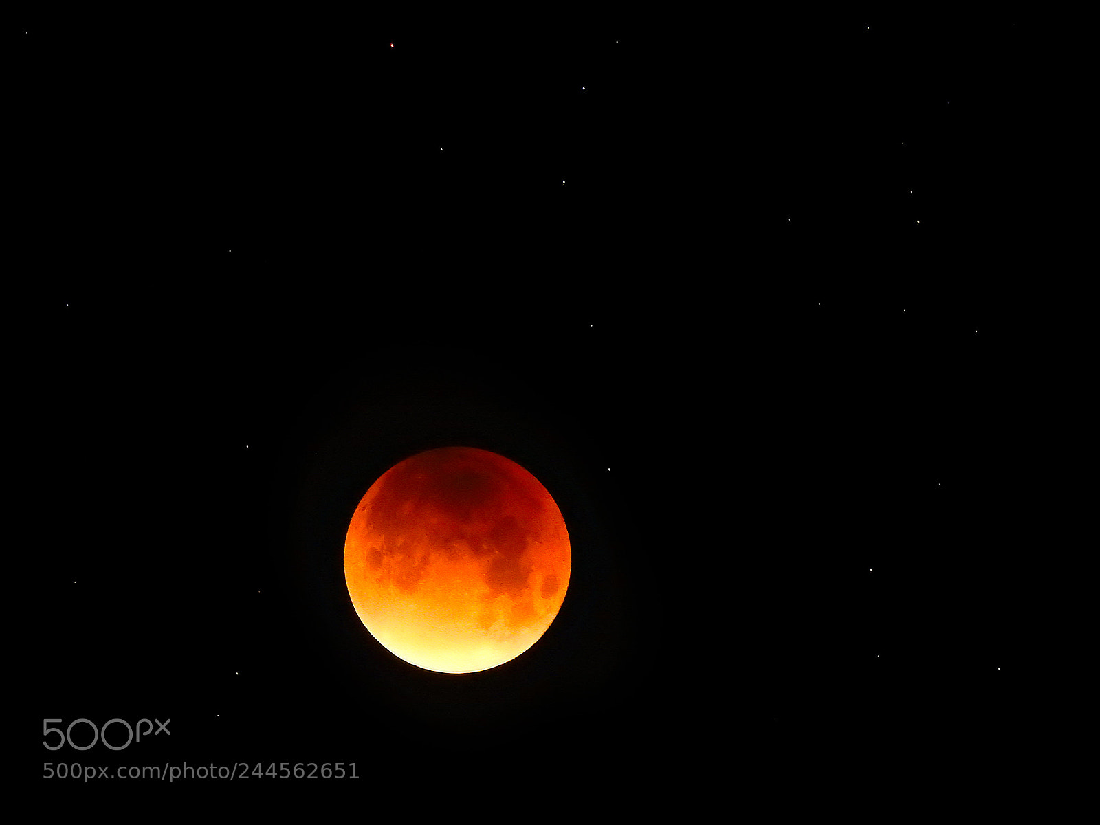 Nikon Coolpix P900 sample photo. Super blue blood moon photography