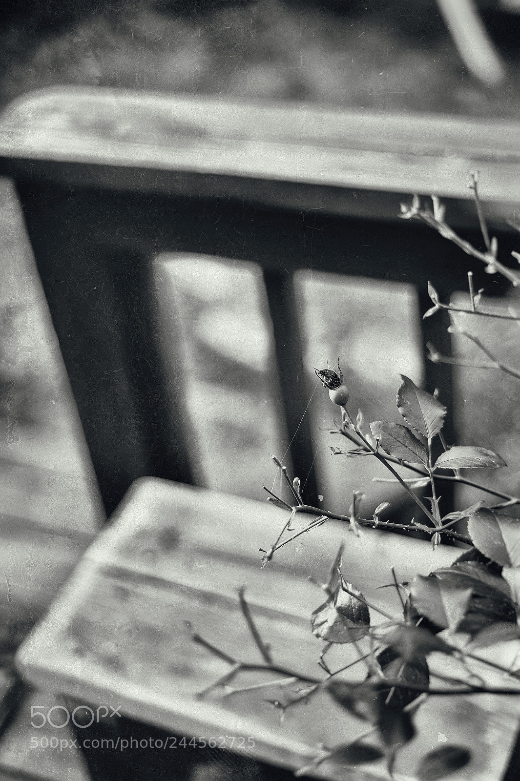 Nikon D3 sample photo. Late autumn photography