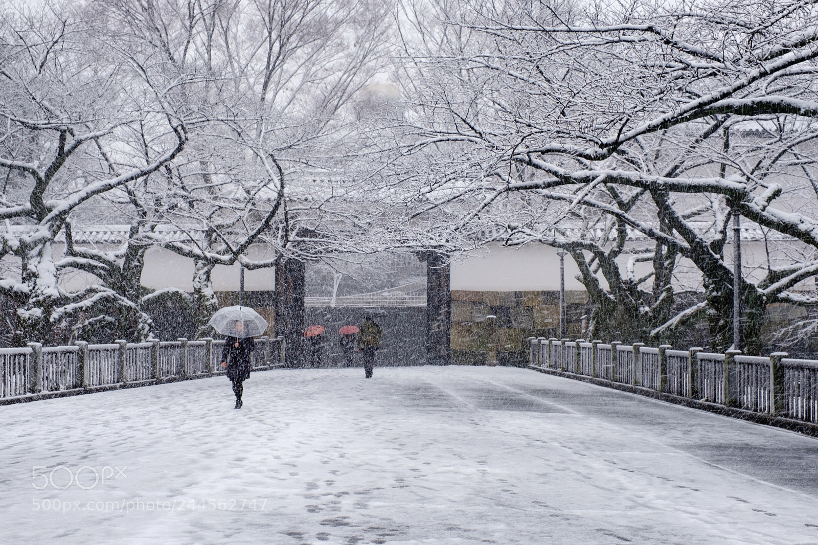 Fujifilm X-Pro2 sample photo. Tayasu-mon gate of edo-jo photography