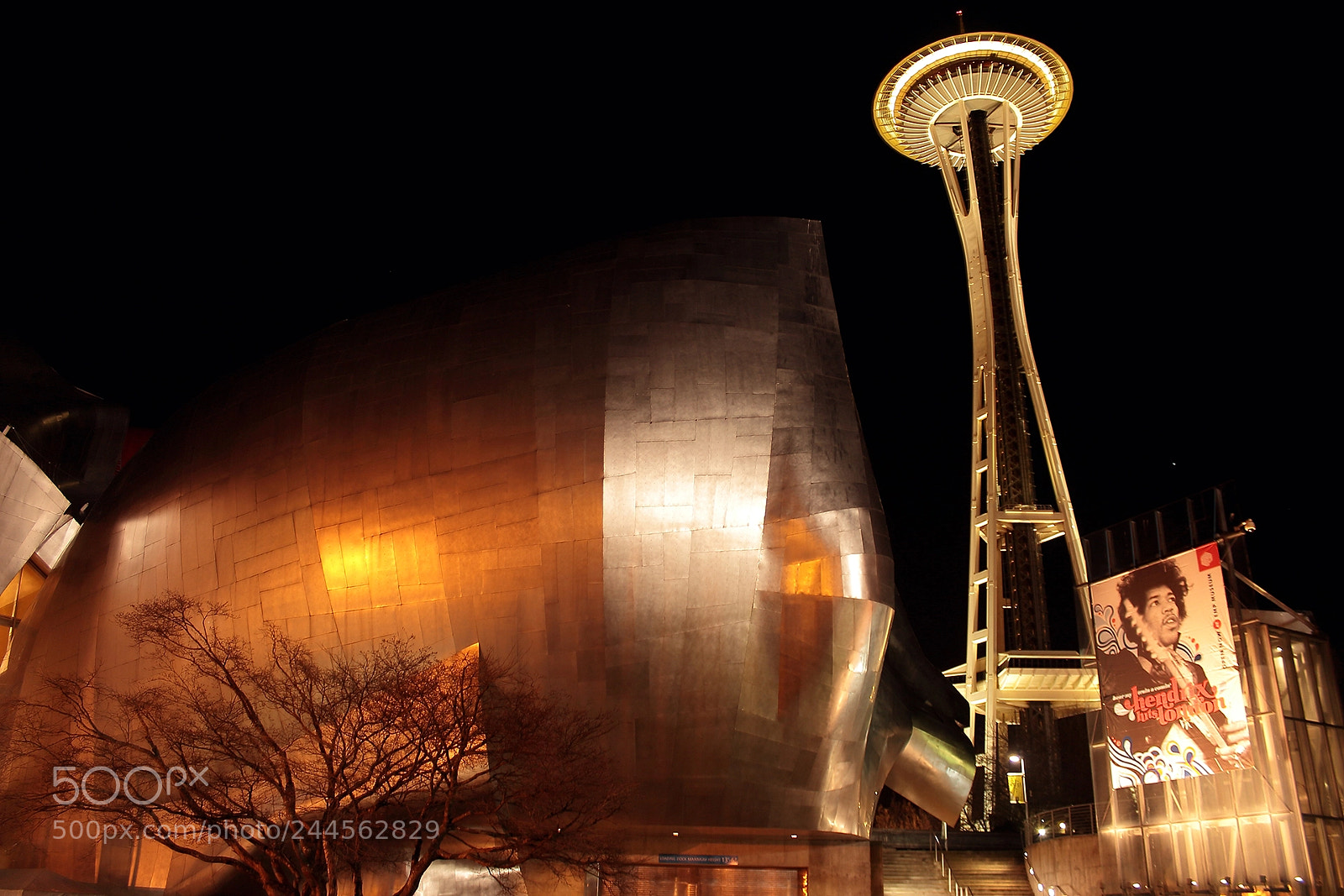 Canon EOS 650D (EOS Rebel T4i / EOS Kiss X6i) sample photo. Space needle photography
