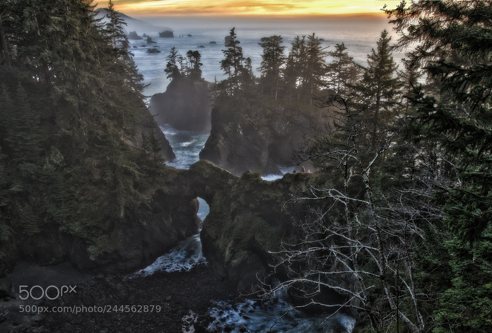 Nikon D850 sample photo. Natural bridge 14-24mm photography
