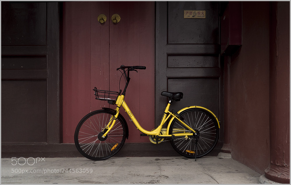 Sony a7S sample photo. Ofo photography