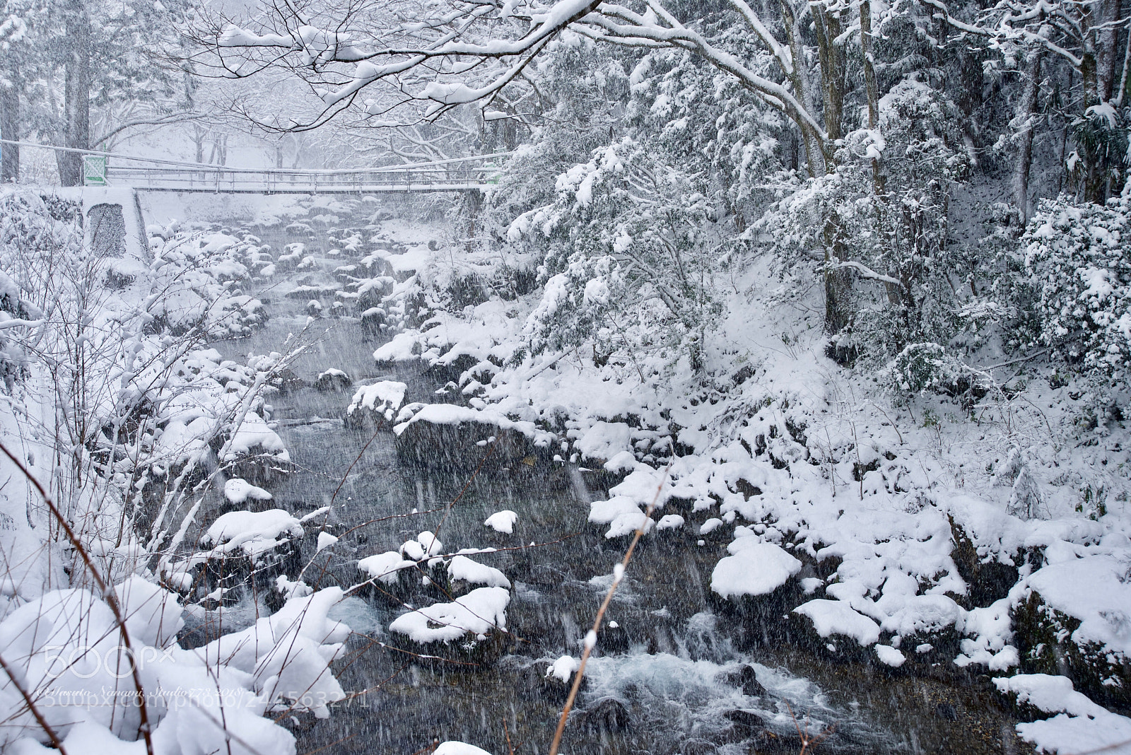 Nikon D610 sample photo. Cold wave photography