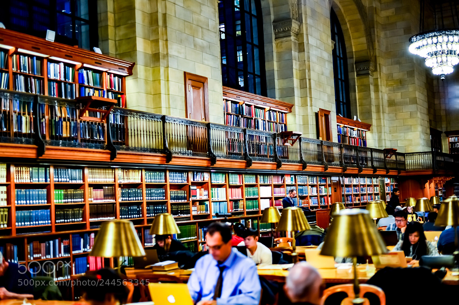 Nikon Df sample photo. The library photography