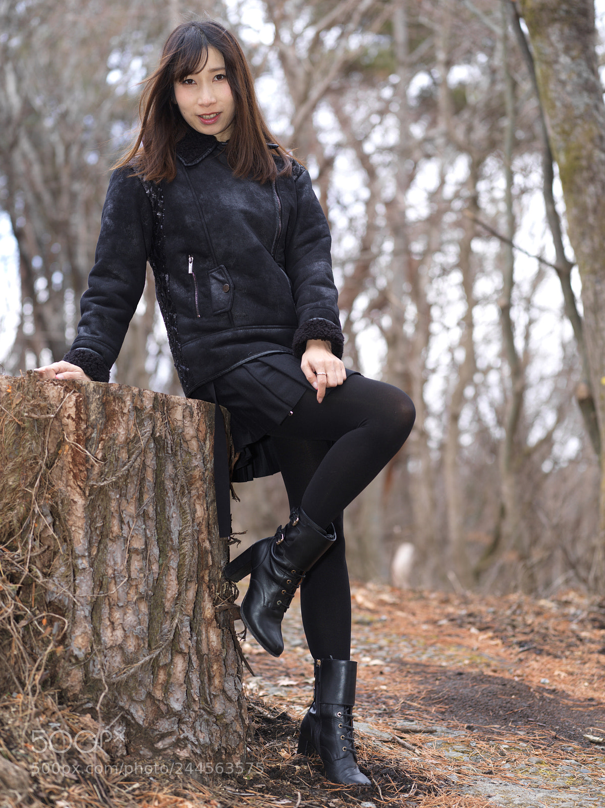 Hasselblad X1D-50c sample photo. Stump photography