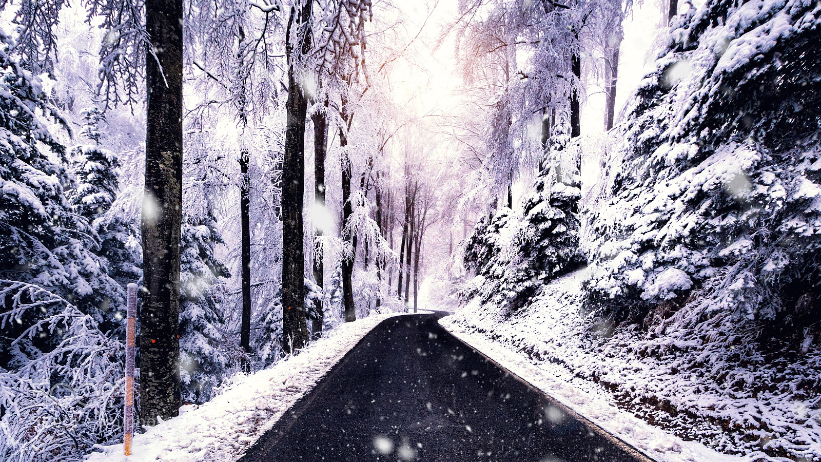 Nikon D7100 sample photo. Sljeme zagreb croatia winter photography