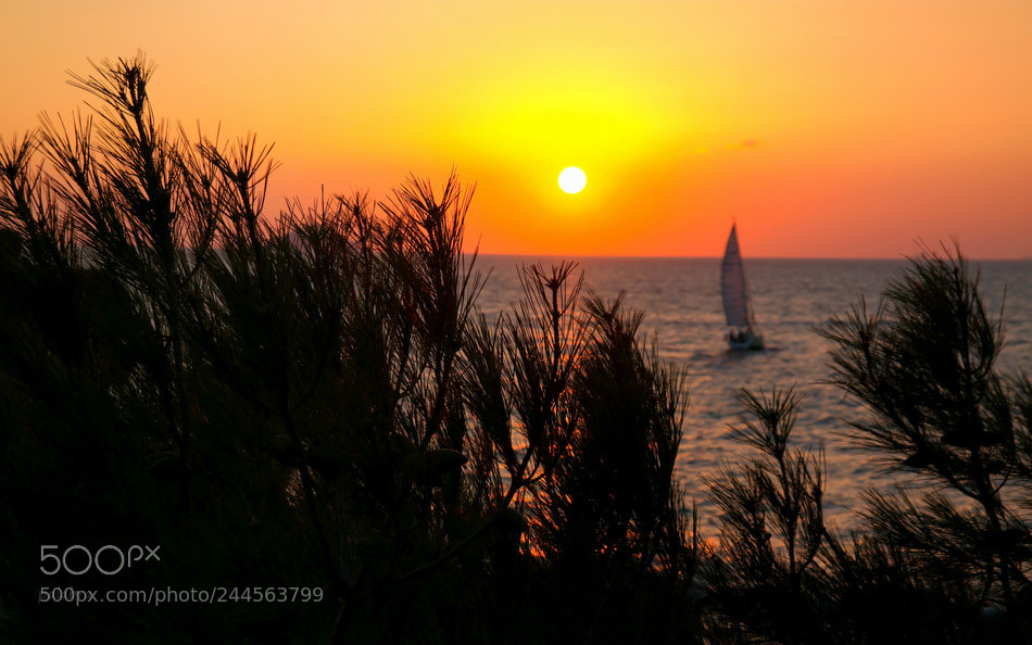 Samsung NX30 sample photo. ... photography