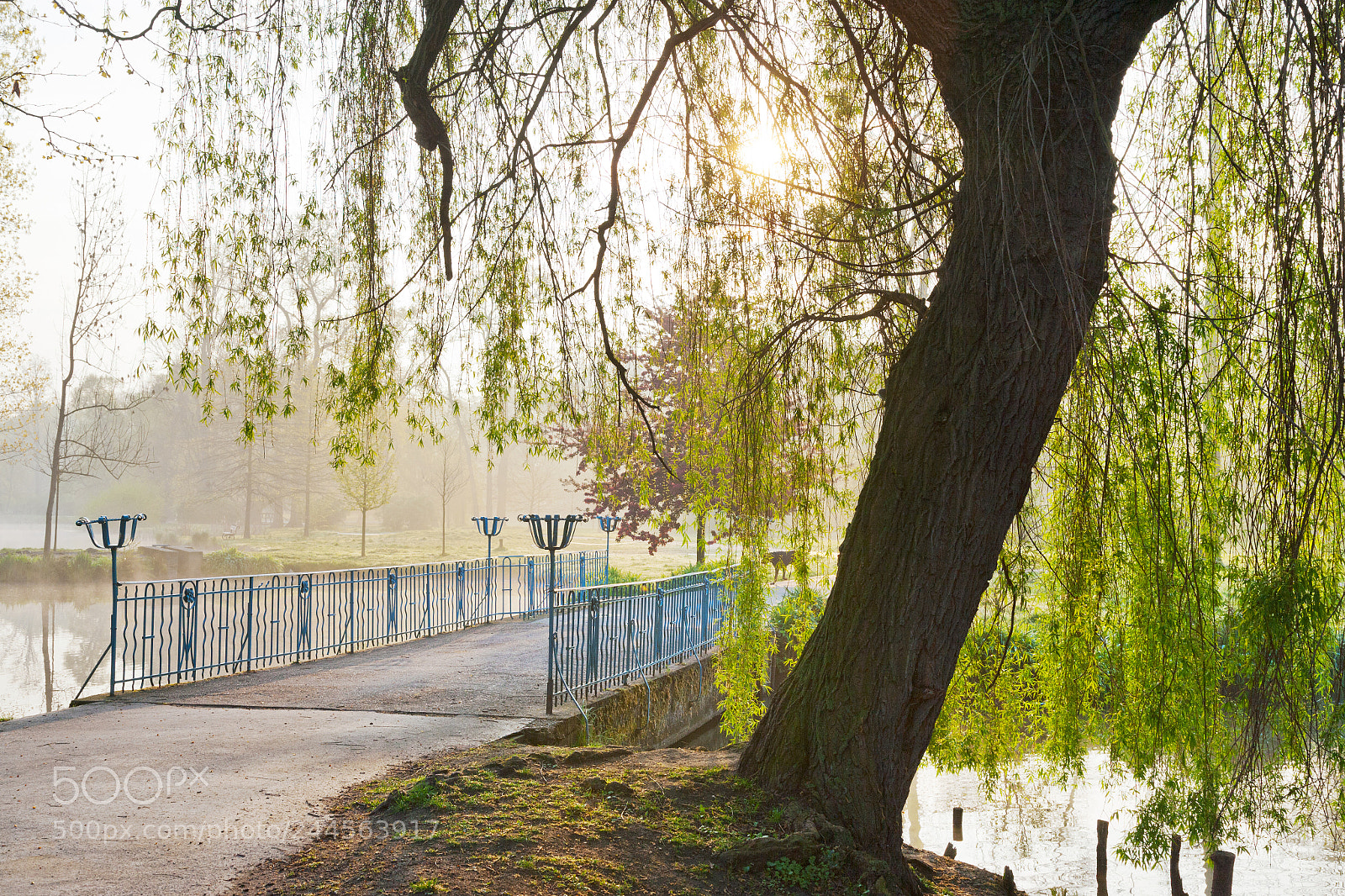 Canon EOS-1Ds Mark II sample photo. Park stromovka, praha, ceska photography