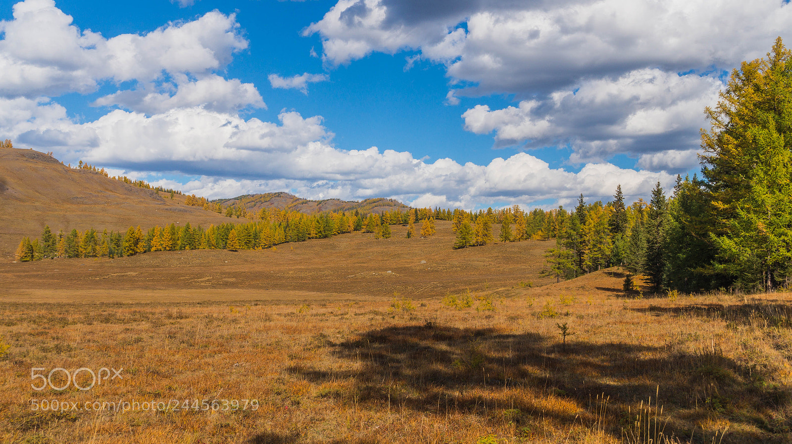 Sony SLT-A58 sample photo. Altai nature photography