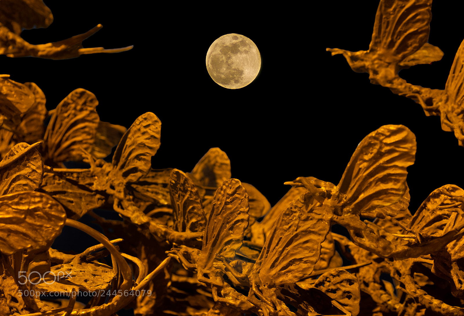 Pentax K-x sample photo. Super moon photography