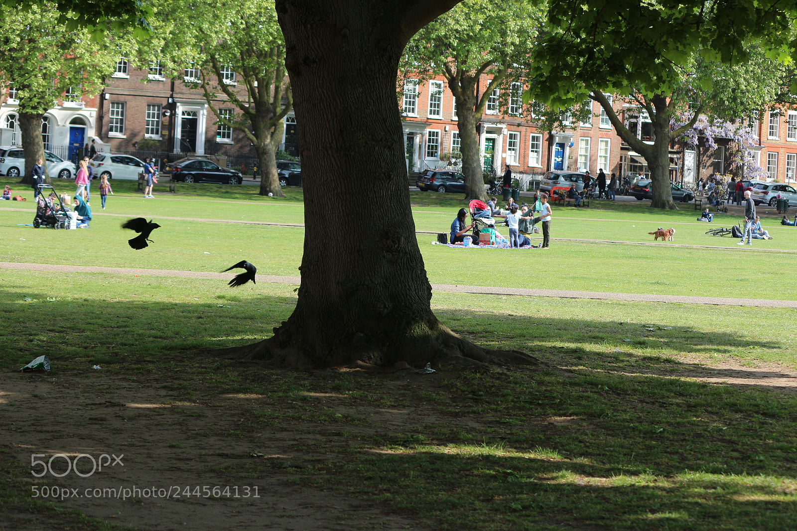 Canon EOS 650D (EOS Rebel T4i / EOS Kiss X6i) sample photo. Img photography