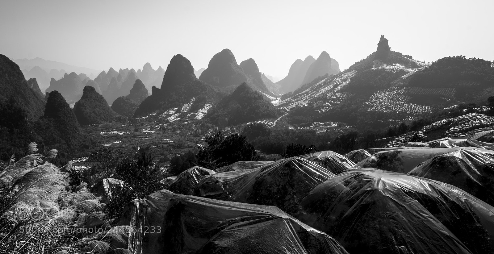 Sony a7R II sample photo. Yangshuo cumquat photography