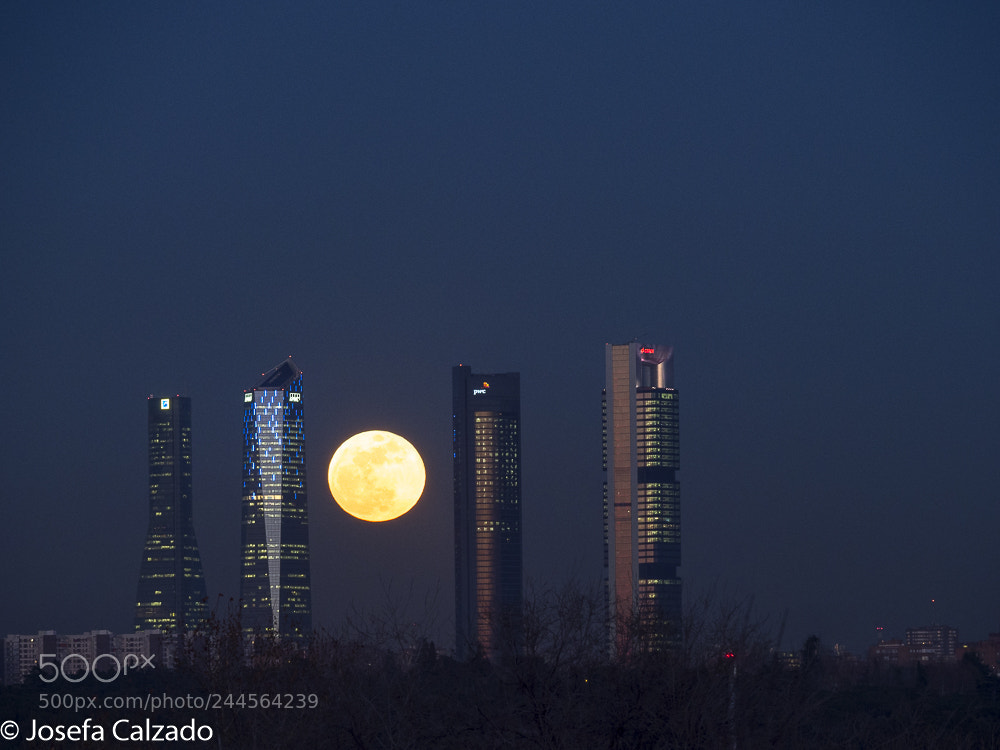 Olympus OM-D E-M1 Mark II sample photo. Superluna del 31 de photography