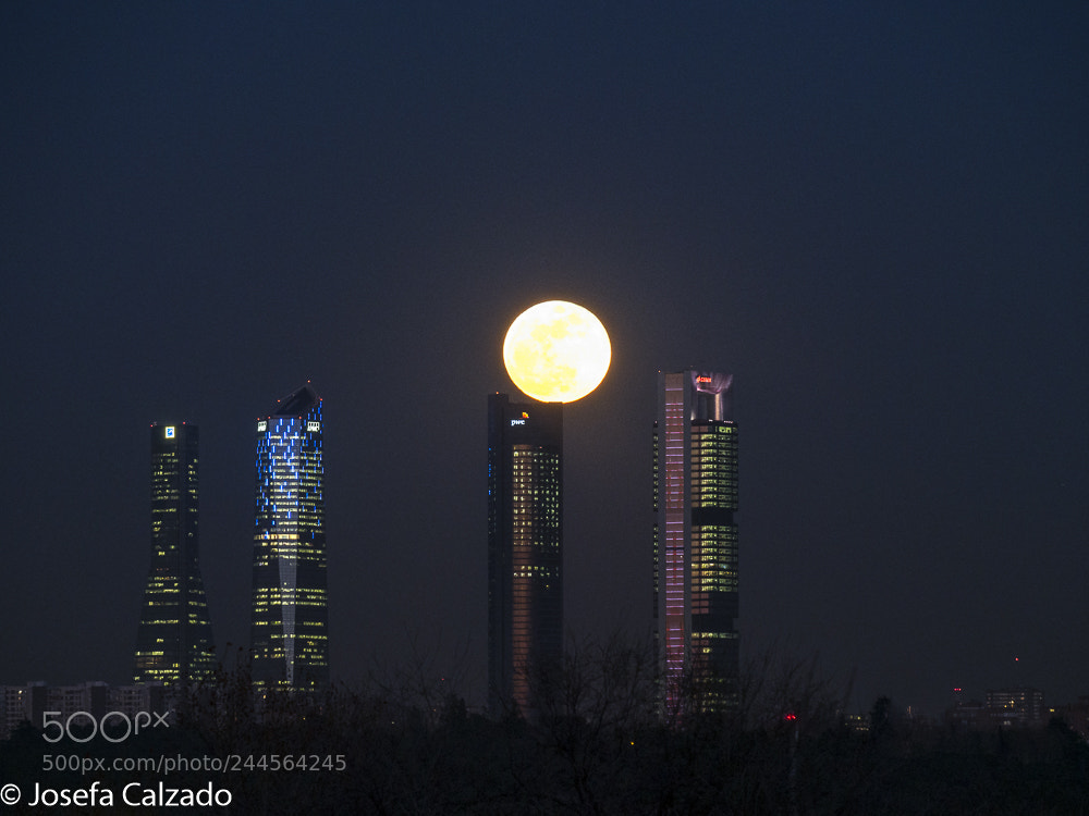 Olympus OM-D E-M1 Mark II sample photo. Superluna del 31 de photography
