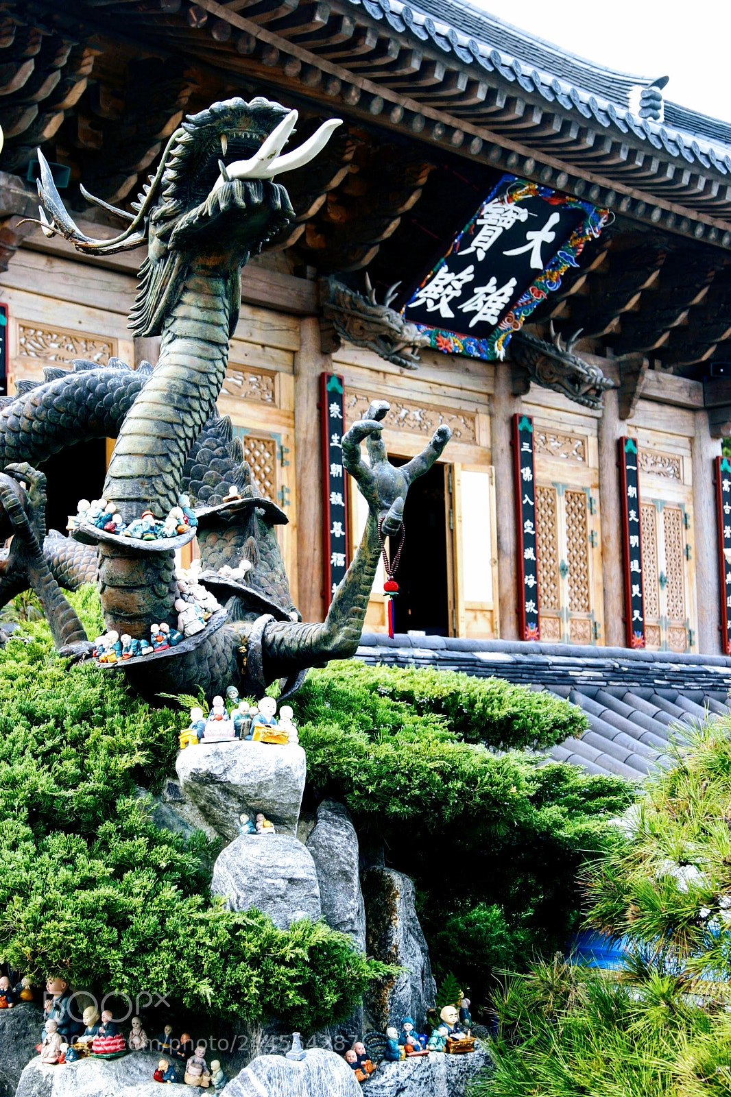 Canon EOS 10D sample photo. Dragon in front of photography