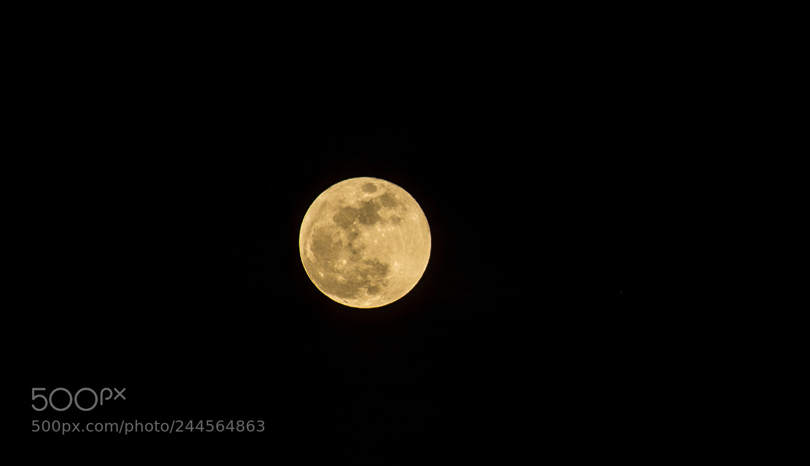 Nikon D7200 sample photo. Full moon 31st jan photography