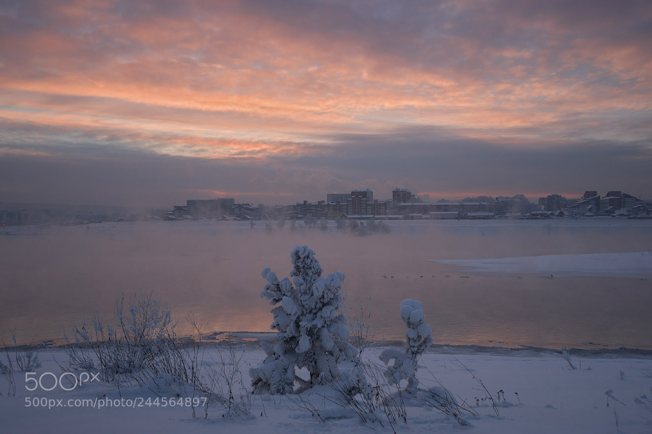 Sony Alpha DSLR-A850 sample photo. Winter evening after sunset photography