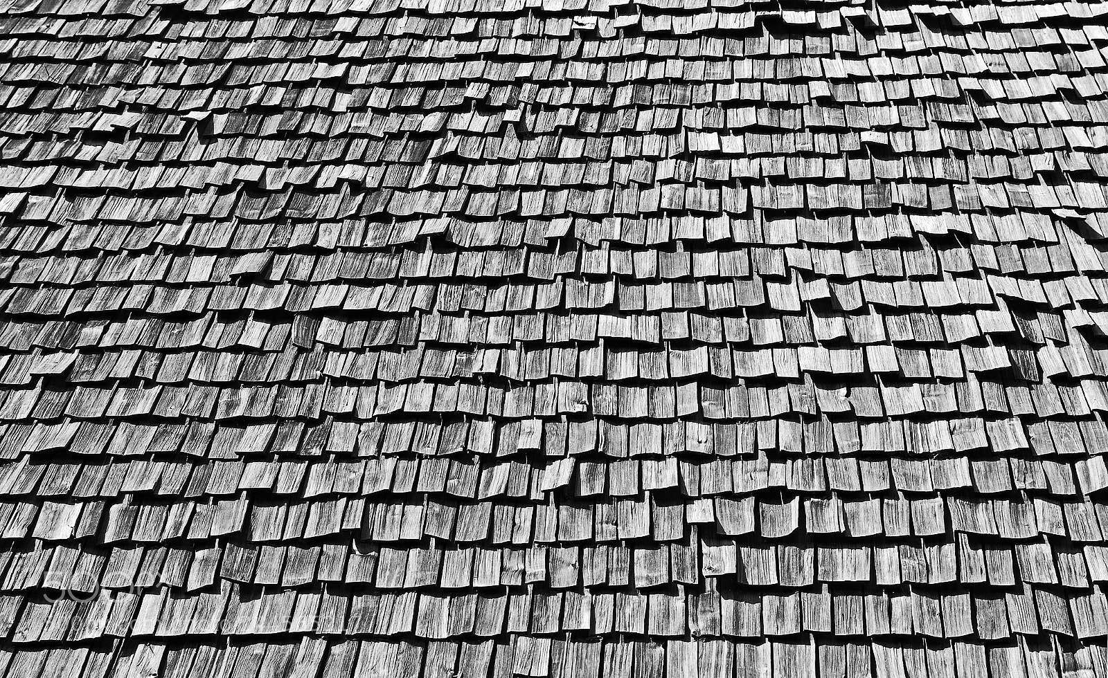 Nikon D80 sample photo. Bw shingles photography