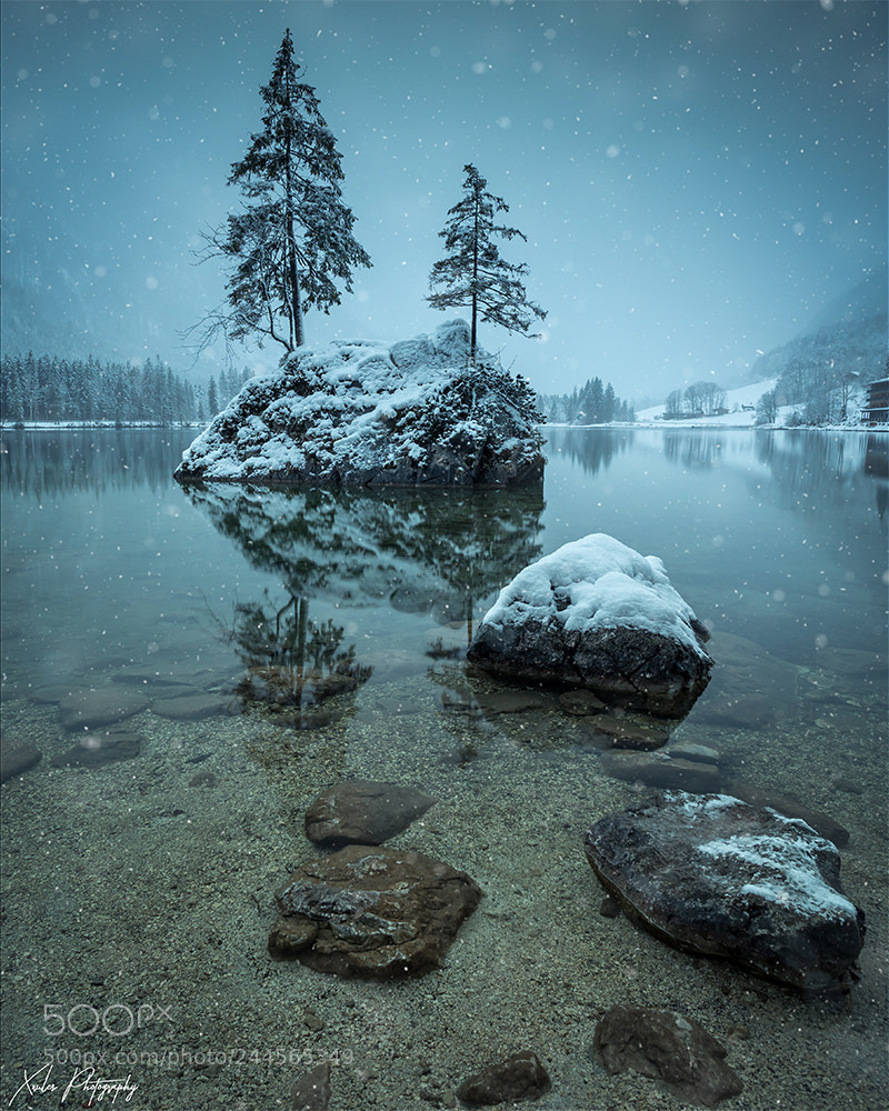 Sony a6300 sample photo. Winter ❄️ photography