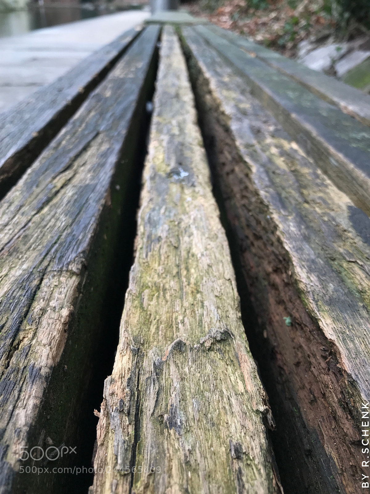 Apple iPhone 7 Plus sample photo. Endless photography