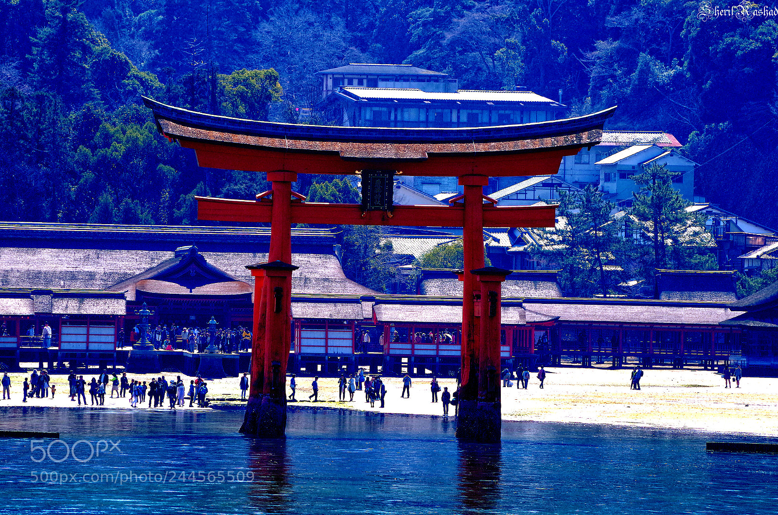 Pentax K-50 sample photo. The great torii photography