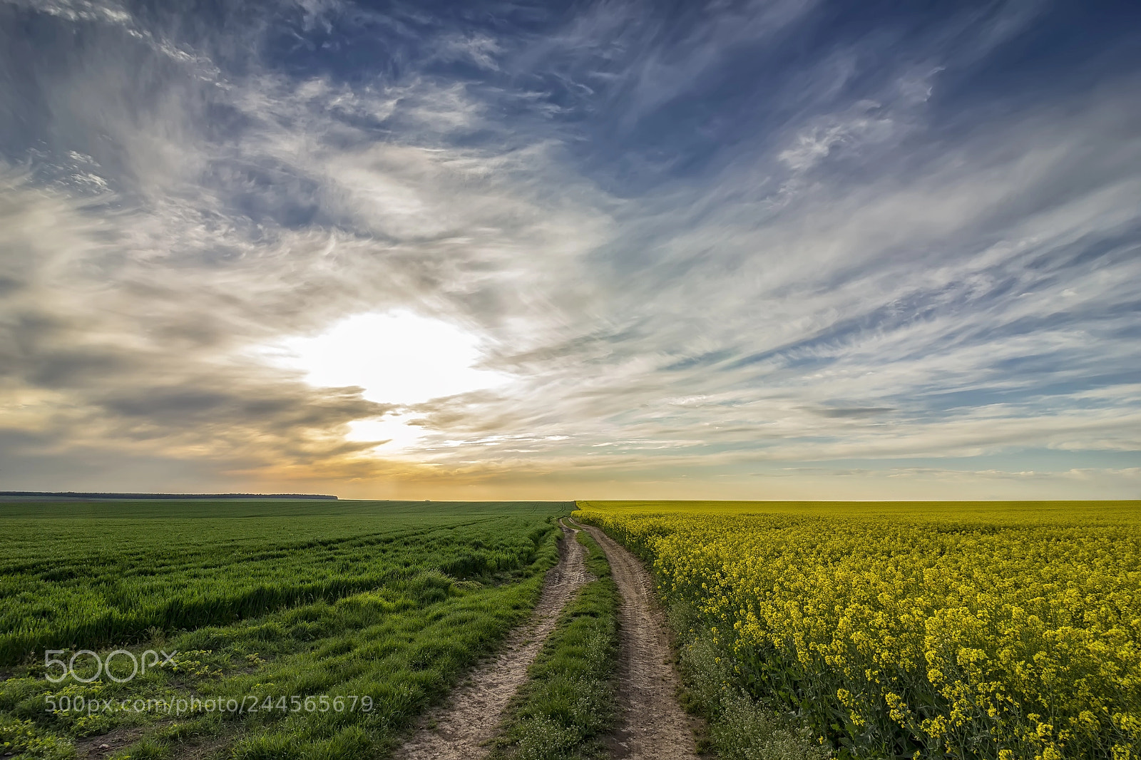 Canon EOS 60D sample photo. Country road photography