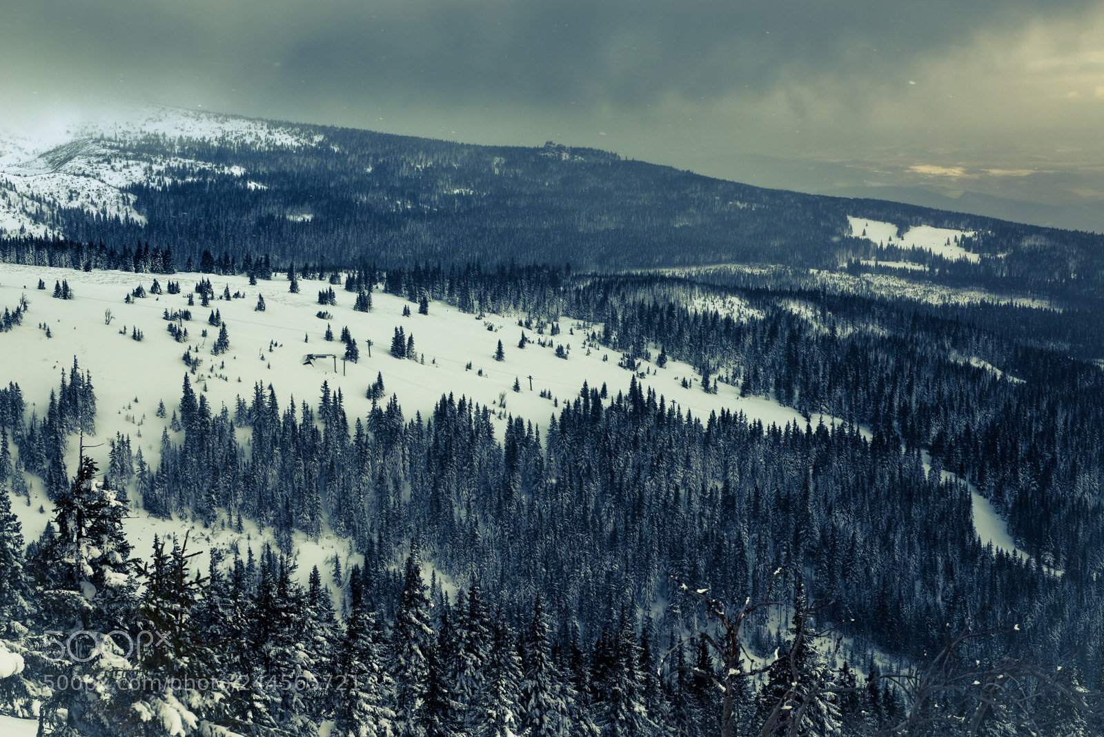 Nikon D610 sample photo. Mountauins photography