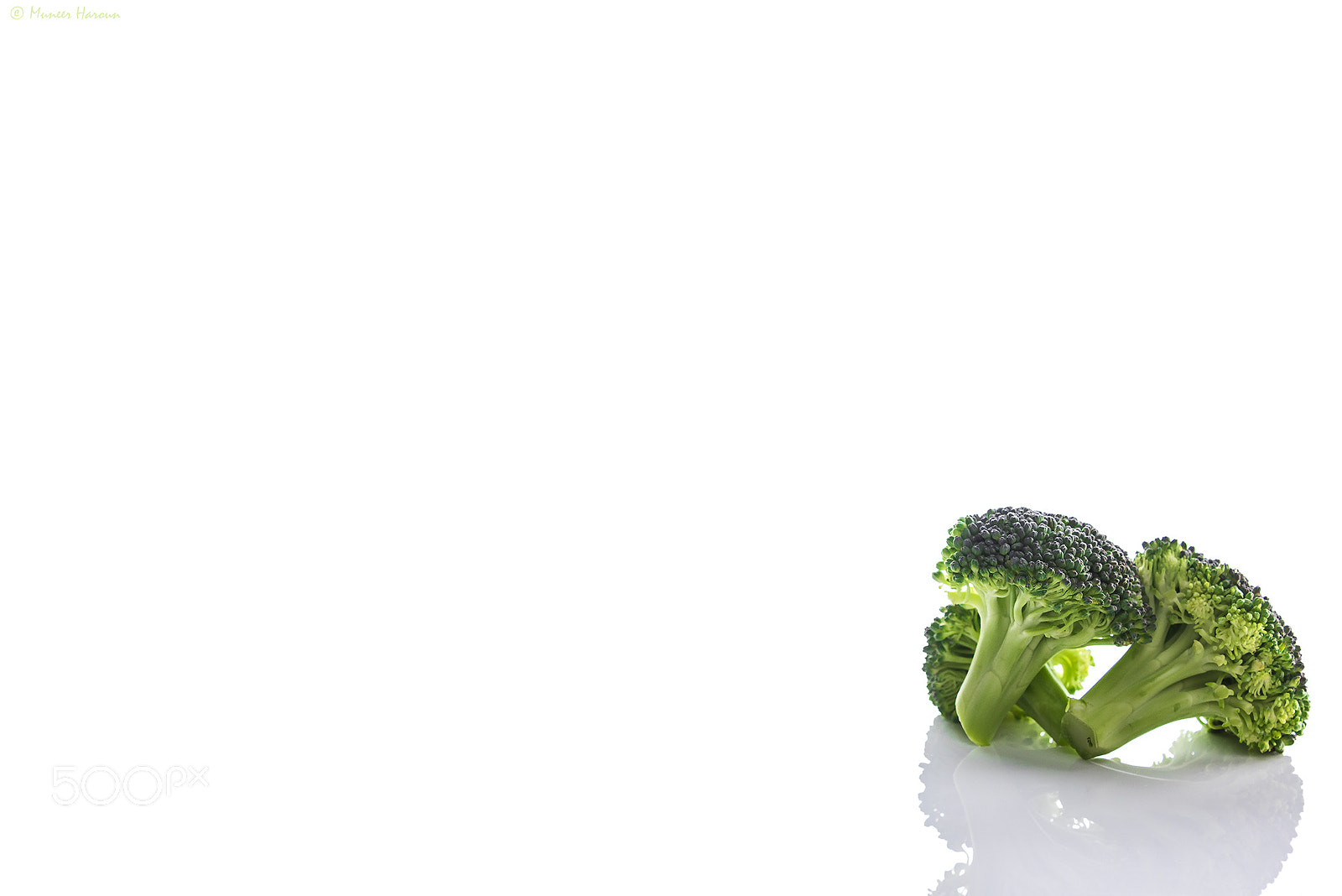 Nikon D810 sample photo. Broccoli photography