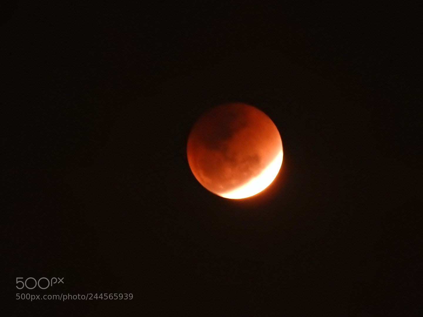 Nikon Coolpix P900 sample photo. Blood moon eclipse photography