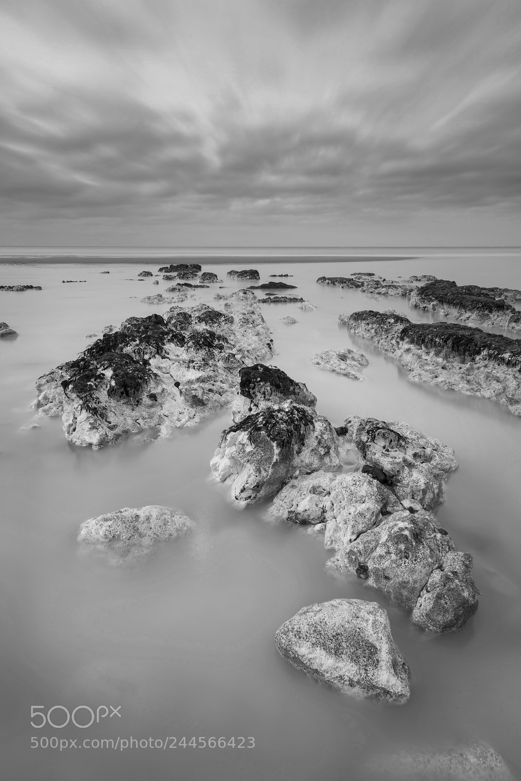 Nikon D800 sample photo. Stunning black and white photography