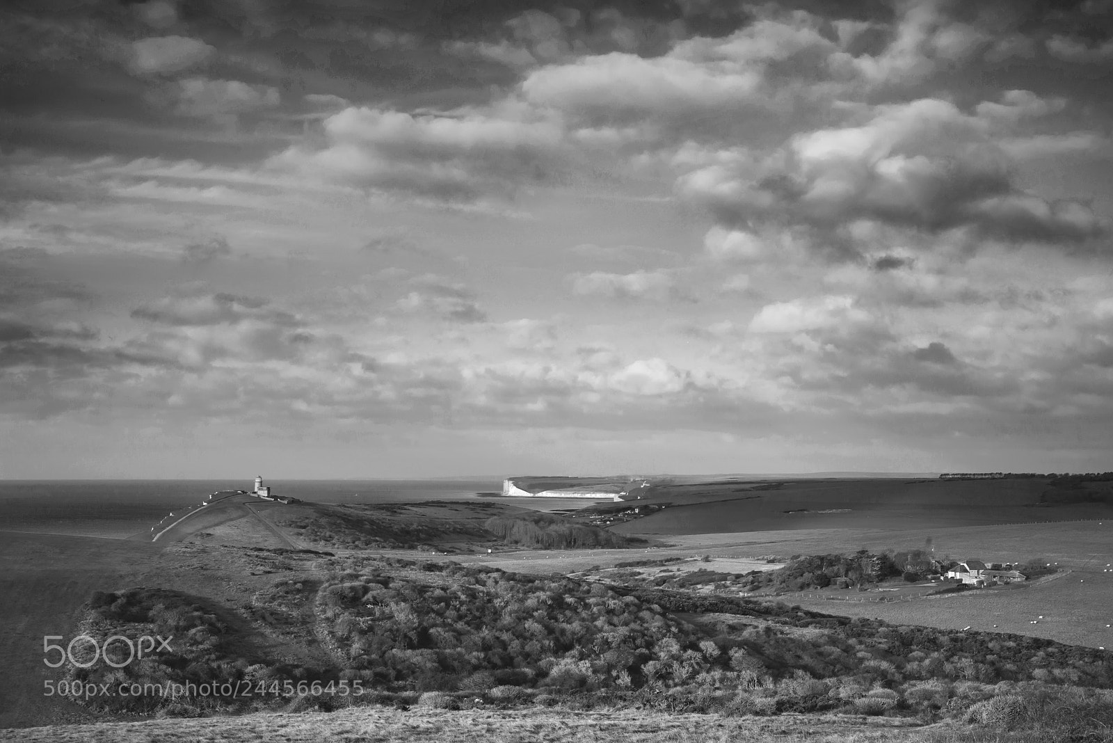 Nikon D800 sample photo. Stunning black and white photography