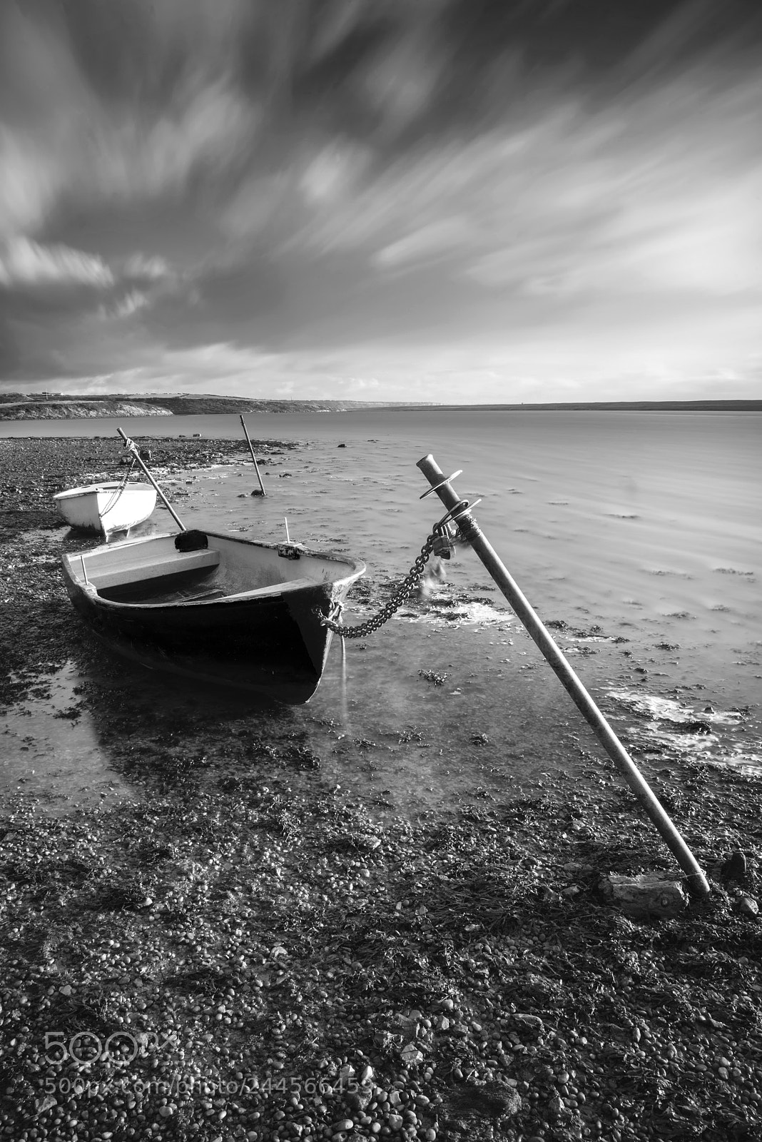 Nikon D800 sample photo. Beautiful black and white photography