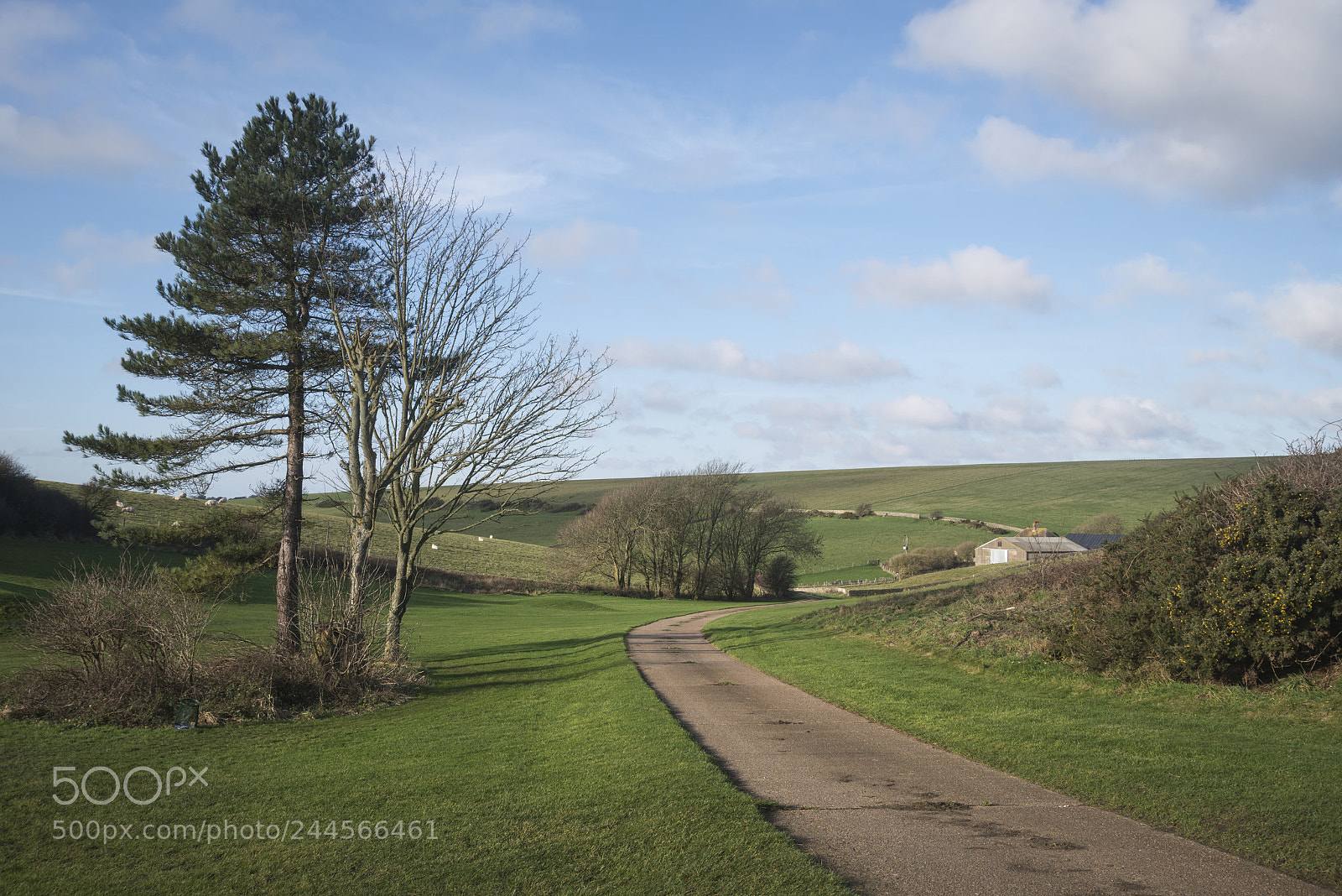 Nikon D800 sample photo. Beautiful vibrant landscape image photography