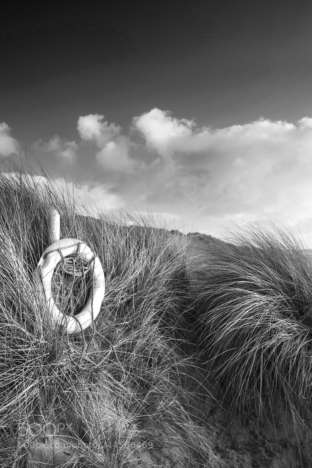 Nikon D800 sample photo. Beautifu lblack and white photography