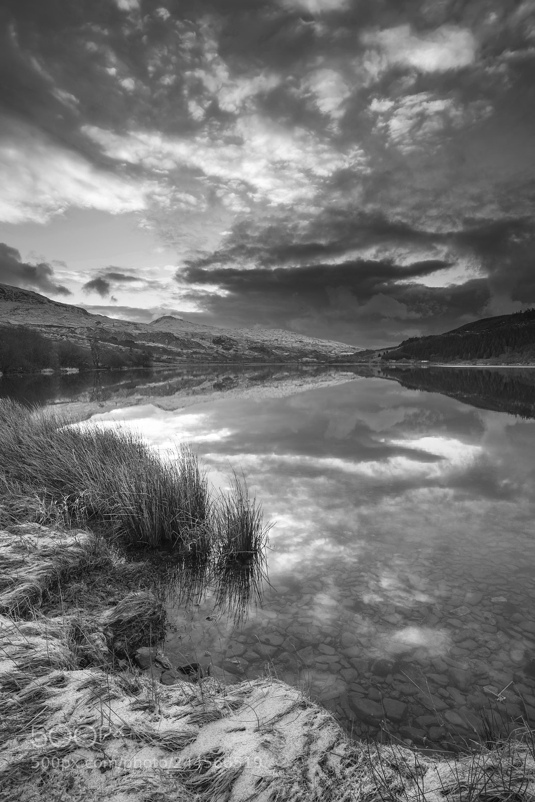 Nikon D800 sample photo. Stunning black and white photography