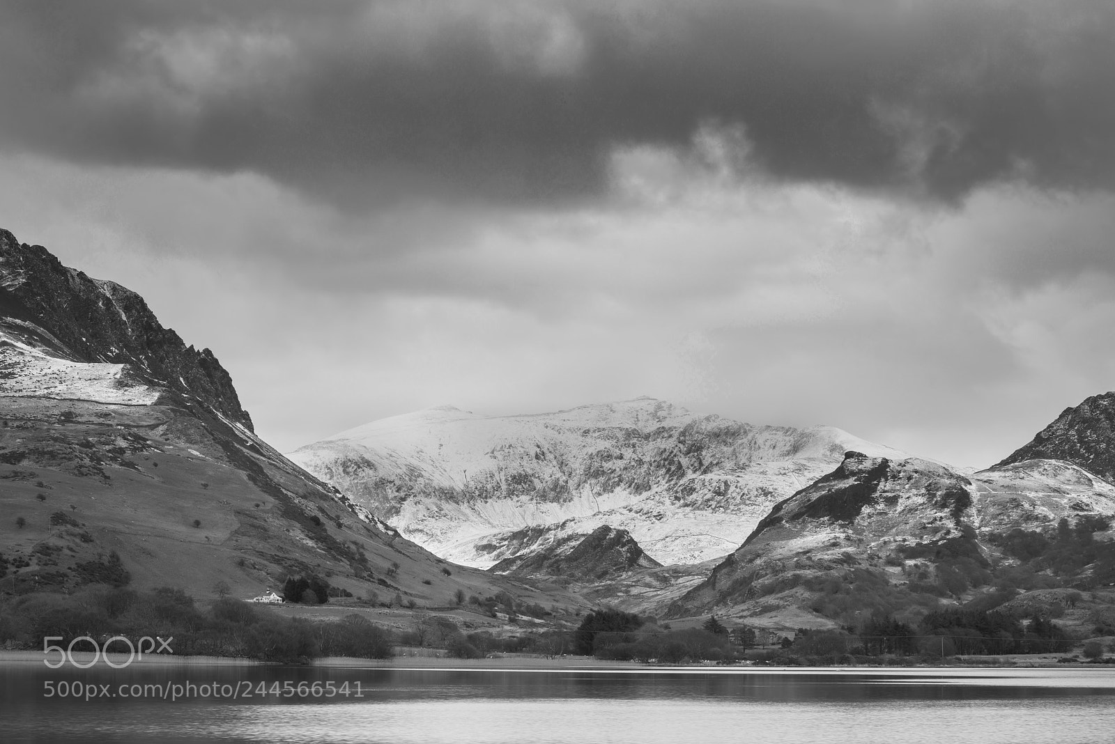Nikon D800 sample photo. Beautiful black and white photography