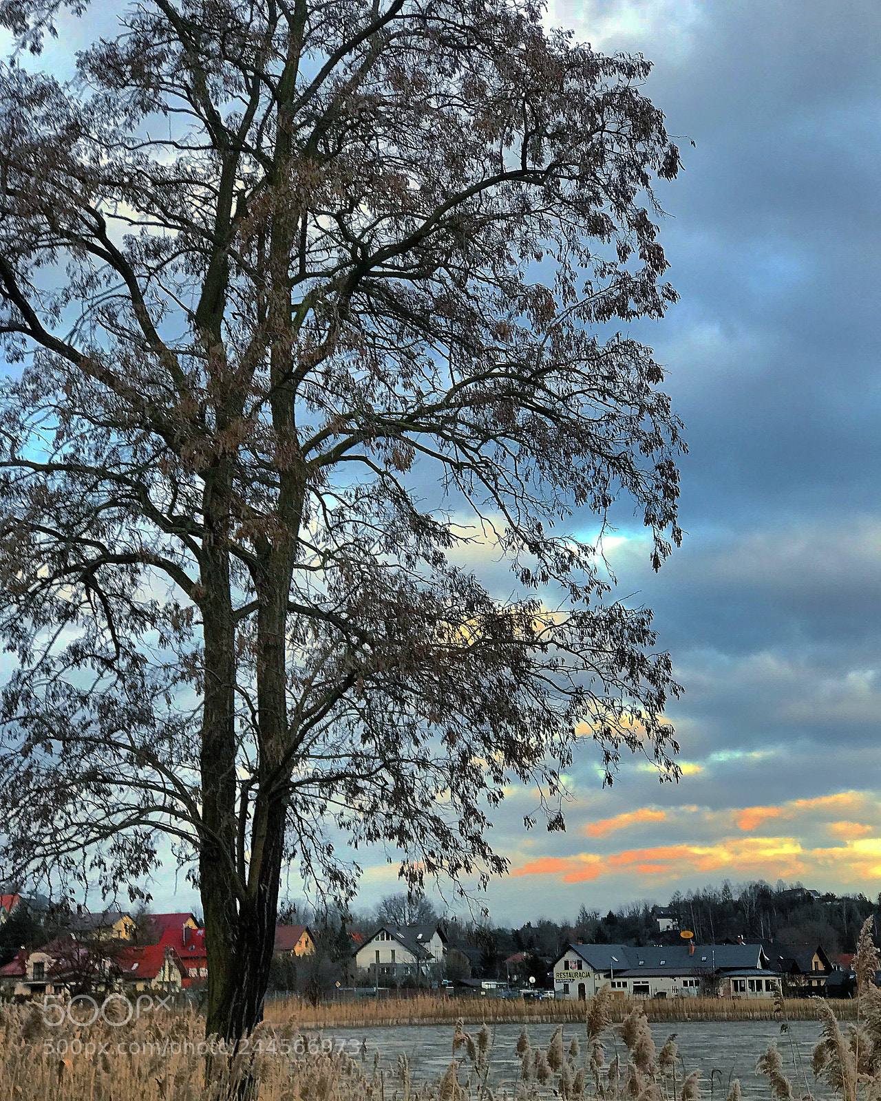 Apple iPhone 7 Plus sample photo. Krakow, poland photography