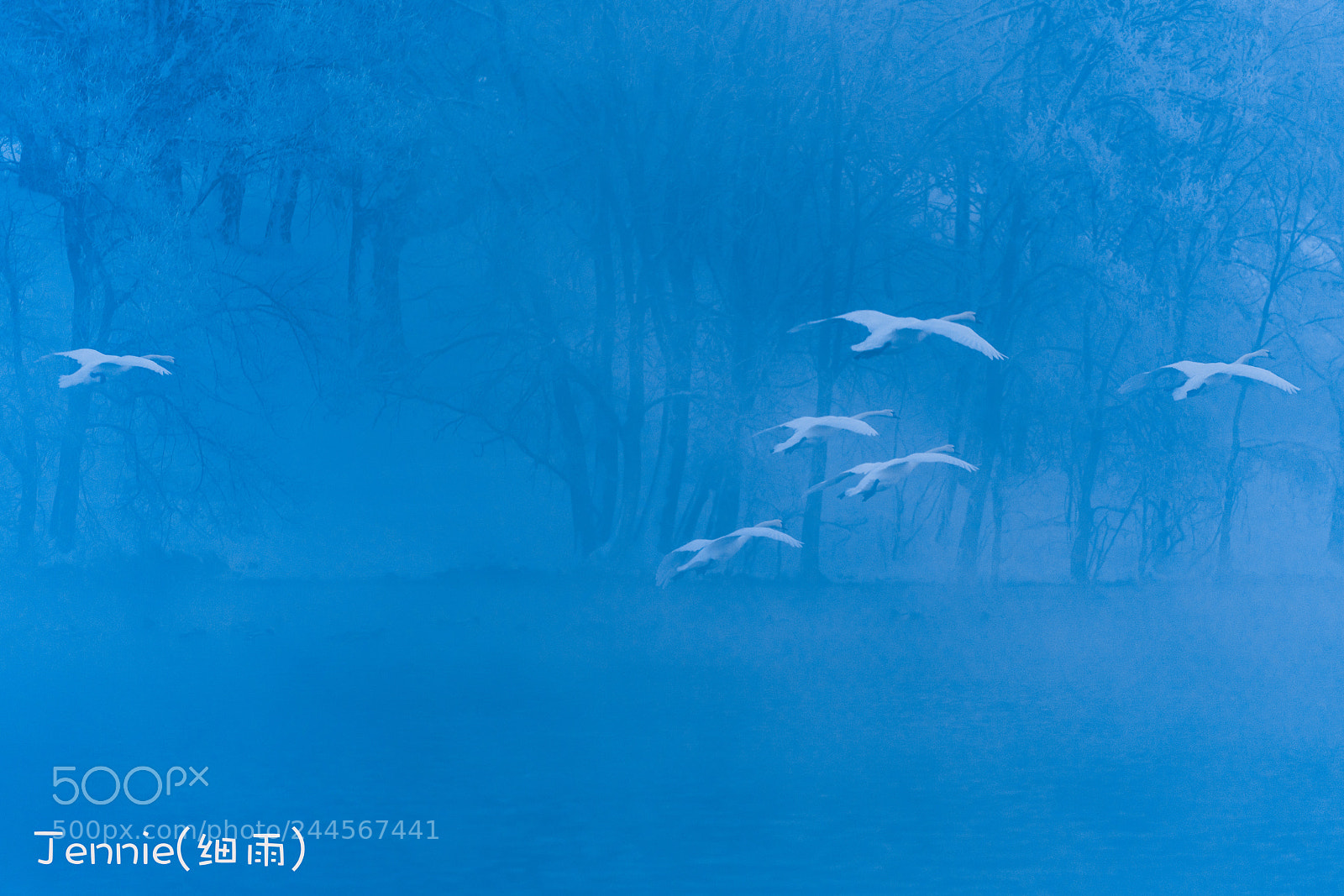 Sony a7R III sample photo. Blue photography