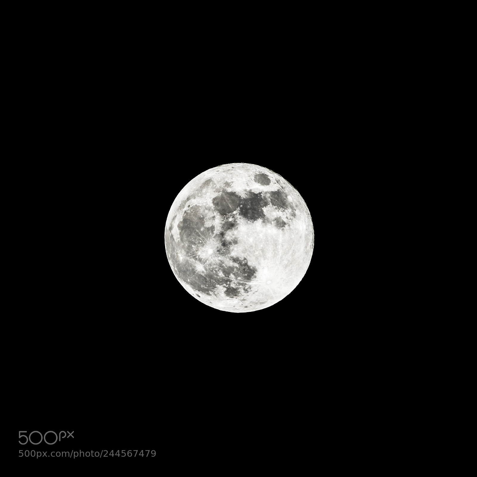 Nikon D850 sample photo. Blue moon photography