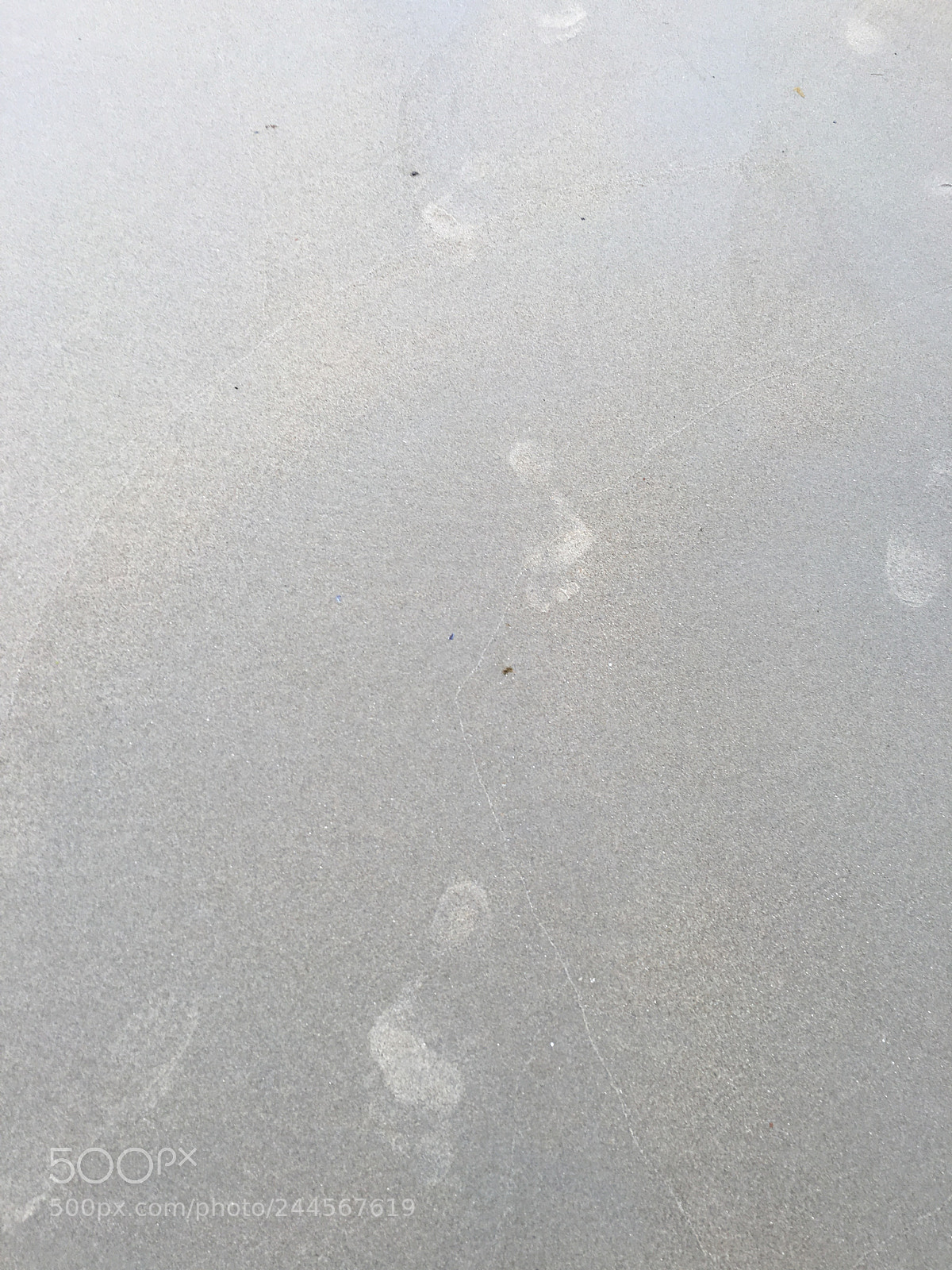 Apple iPhone 6s sample photo. Img photography