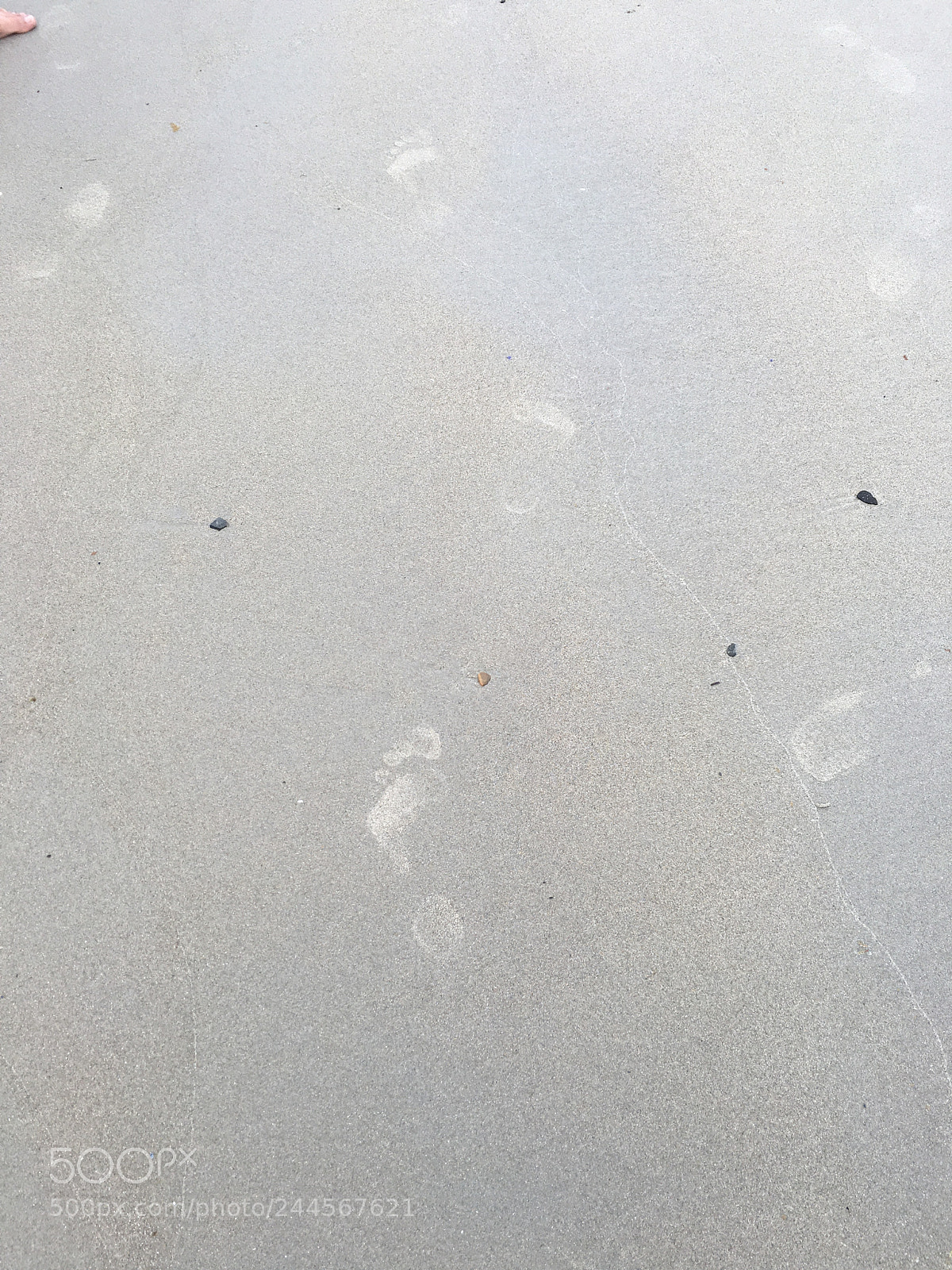 Apple iPhone 6s sample photo. Img photography