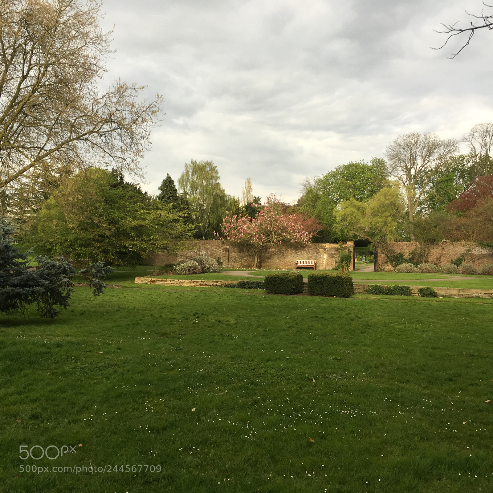 Apple iPhone 6s sample photo. Img photography